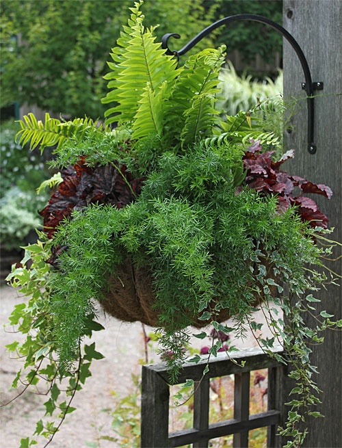 http://www.gardeners.com/Planters-That-Stand-Out/5325,default,pg.html